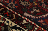 Bakhtiari Persian Rug 314x205 - Picture 6
