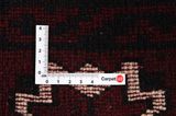 Afshar - Sirjan Persian Rug 304x210 - Picture 4