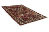 Bakhtiari - Garden Persian Rug 261x158 - Picture 1