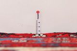 Nahavand - Hamadan Persian Rug 300x160 - Picture 8