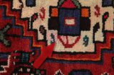 Borchalou - Hamadan Persian Rug 280x151 - Picture 18