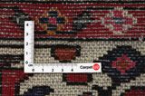 Hosseinabad - Hamadan Persian Rug 306x213 - Picture 4