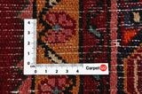 Borchalou - Sarouk Persian Rug 277x164 - Picture 4