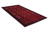 Afshar - Sirjan Persian Rug 294x149 - Picture 1