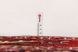 Songhor - Koliai Persian Rug 305x153 - Picture 8