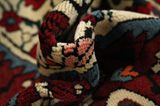 Bakhtiari Persian Rug 310x163 - Picture 7