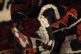 Bakhtiari Persian Rug 313x192 - Picture 7
