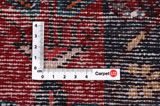 Koliai - Kurdi Persian Rug 296x168 - Picture 4