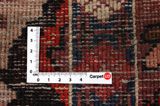 Jozan - Sarouk Persian Rug 310x214 - Picture 4
