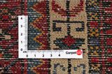 Tuyserkan - Hamadan Persian Rug 300x147 - Picture 4