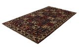 Bakhtiari Persian Rug 303x170 - Picture 2