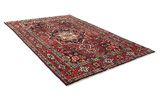 Bakhtiari Persian Rug 313x208 - Picture 1