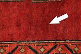 Koliai - Kurdi Persian Rug 313x120 - Picture 17