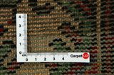 Hosseinabad - Hamadan Persian Rug 330x158 - Picture 4