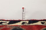 Lori - Bakhtiari Persian Rug 247x158 - Picture 8