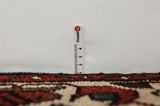 Hosseinabad - Hamadan Persian Rug 325x105 - Picture 8