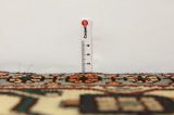 Nahavand - Hamadan Persian Rug 293x163 - Picture 8