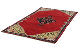 Bijar - Kurdi Persian Rug 254x146 - Picture 2
