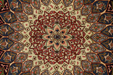Tabriz Persian Rug 249x206 - Picture 9