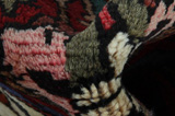 Bakhtiari Persian Rug 263x156 - Picture 8
