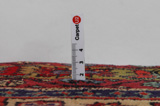 Ardebil - Azari Persian Rug 300x122 - Picture 8