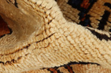 Bakhtiari Persian Rug 340x127 - Picture 7