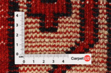 Lori - Gabbeh Persian Rug 275x188 - Picture 4