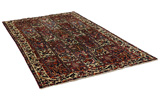 Bakhtiari - Garden Persian Rug 277x167 - Picture 1