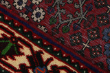Joshaghan Persian Rug 159x107 - Picture 6