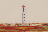 Qashqai - Gabbeh Persian Rug 245x153 - Picture 8