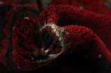 Kelardasht - Kurdi Persian Rug 307x200 - Picture 7