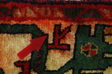 Qashqai - Shiraz Persian Rug 273x185 - Picture 17