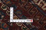Qashqai - Shiraz Persian Rug 310x160 - Picture 4