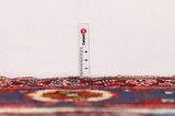 Nahavand - Hamadan Persian Rug 300x162 - Picture 8